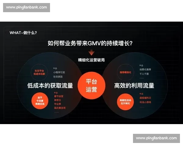以精细化运营驱动业务增长全面实现收益持续提升新路径探索与实践